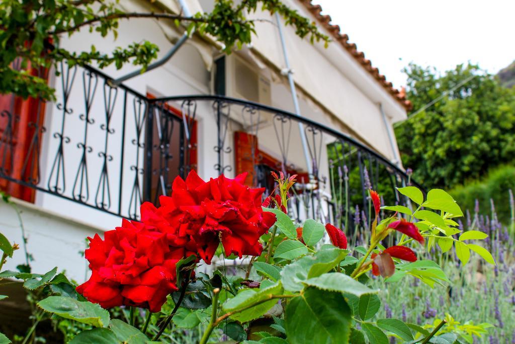 Mavrommátion Guesthouse Lykourgos מראה חיצוני תמונה